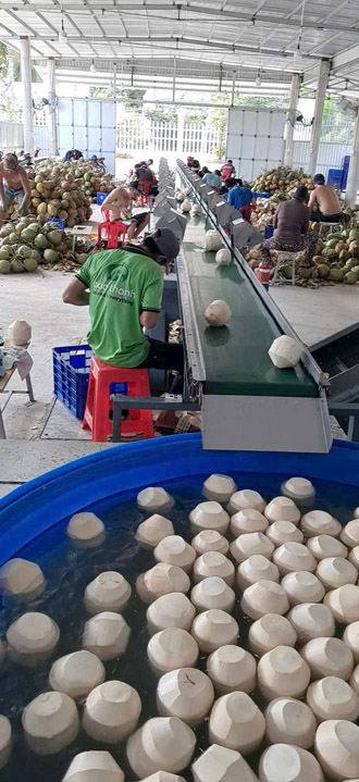 Hình ảnh hoạt động công ty Phước Thành Tài - Nông Sản Phước Thành Tài - Công Ty TNHH Xuất Nhập Khẩu Quốc Tế Phước Thành Tài