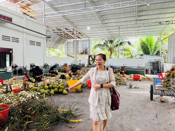 Hình ảnh hoạt động công ty Phước Thành Tài - Nông Sản Phước Thành Tài - Công Ty TNHH Xuất Nhập Khẩu Quốc Tế Phước Thành Tài