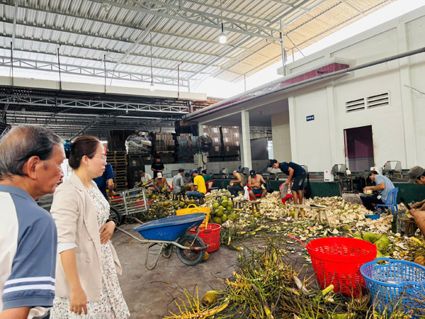 Hình ảnh hoạt động công ty Phước Thành Tài - Nông Sản Phước Thành Tài - Công Ty TNHH Xuất Nhập Khẩu Quốc Tế Phước Thành Tài
