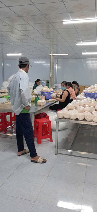 Hình ảnh hoạt động công ty Phước Thành Tài - Nông Sản Phước Thành Tài - Công Ty TNHH Xuất Nhập Khẩu Quốc Tế Phước Thành Tài