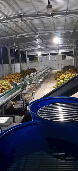 Hình ảnh hoạt động công ty Phước Thành Tài - Nông Sản Phước Thành Tài - Công Ty TNHH Xuất Nhập Khẩu Quốc Tế Phước Thành Tài