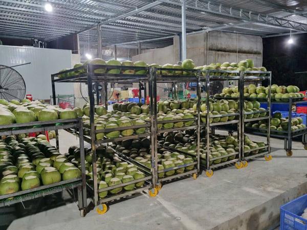Hình ảnh hoạt động công ty Phước Thành Tài - Nông Sản Phước Thành Tài - Công Ty TNHH Xuất Nhập Khẩu Quốc Tế Phước Thành Tài