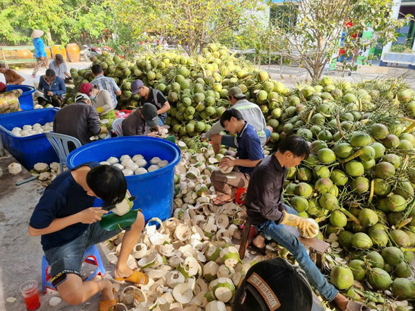 Hình ảnh hoạt động công ty Phước Thành Tài - Nông Sản Phước Thành Tài - Công Ty TNHH Xuất Nhập Khẩu Quốc Tế Phước Thành Tài