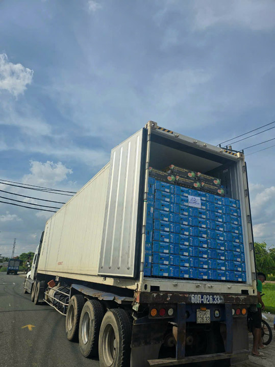 Hình ảnh hoạt động công ty Phước Thành Tài - Nông Sản Phước Thành Tài - Công Ty TNHH Xuất Nhập Khẩu Quốc Tế Phước Thành Tài