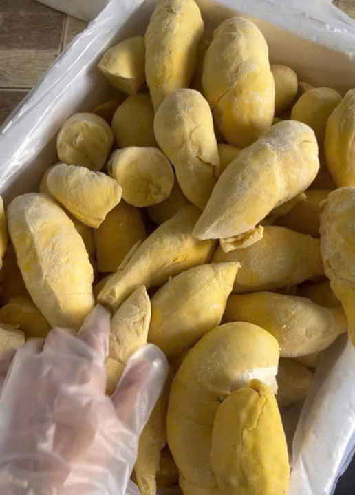 Sầu riêng - Nông Sản Phước Thành Tài - Công Ty TNHH Xuất Nhập Khẩu Quốc Tế Phước Thành Tài