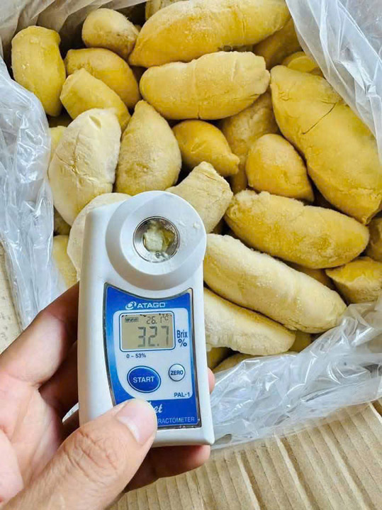 Sầu riêng - Nông Sản Phước Thành Tài - Công Ty TNHH Xuất Nhập Khẩu Quốc Tế Phước Thành Tài