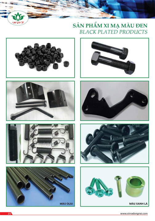 Hồ sơ năng lực