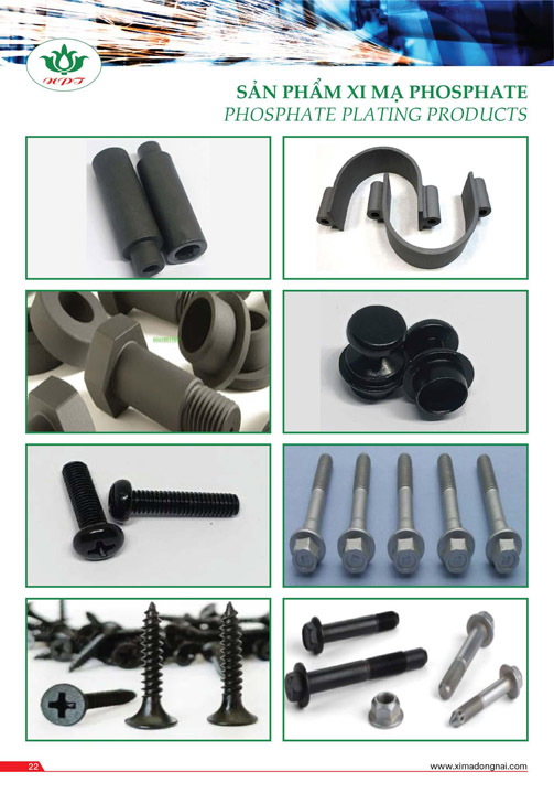 Hồ sơ năng lực