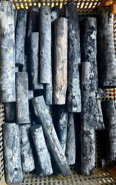 Than trắng bạch đàn