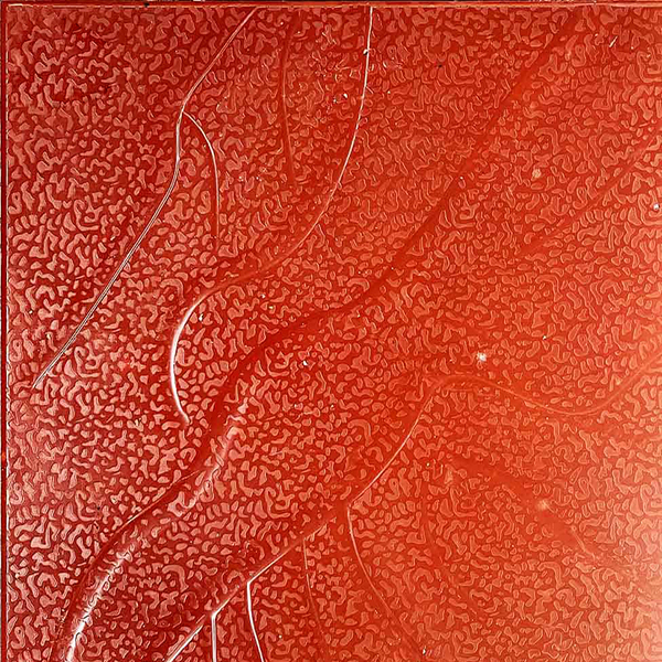 Gạch Terrazzo lát hè