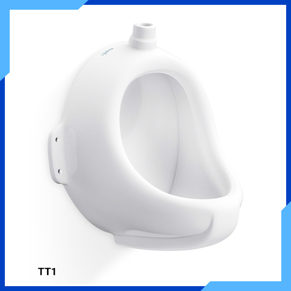 Bồn vệ sinh đứng T11