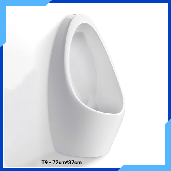 Bồn vệ sinh đứng T9