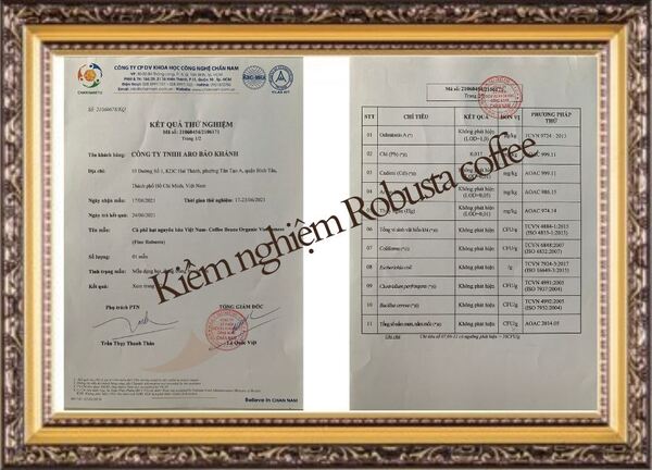 Kiểm nghiệm chất lượng cà phê hạt robusta