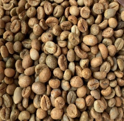 Nhân xanh Arabica Natural Cầu Đất