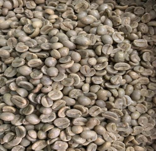 Nhân xanh Arabica Washed Đà Lạt