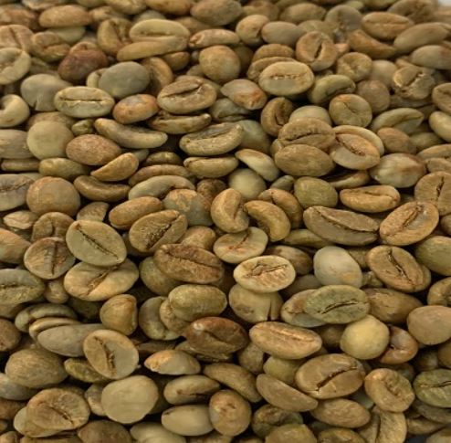 Nhân xanh Robusta Honey