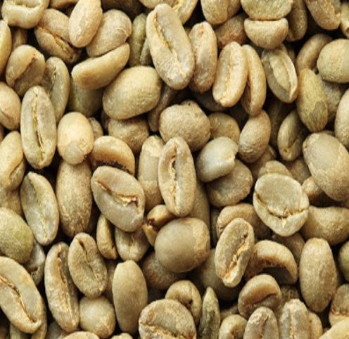 Nhân xanh Typica Natural Cầu Đất