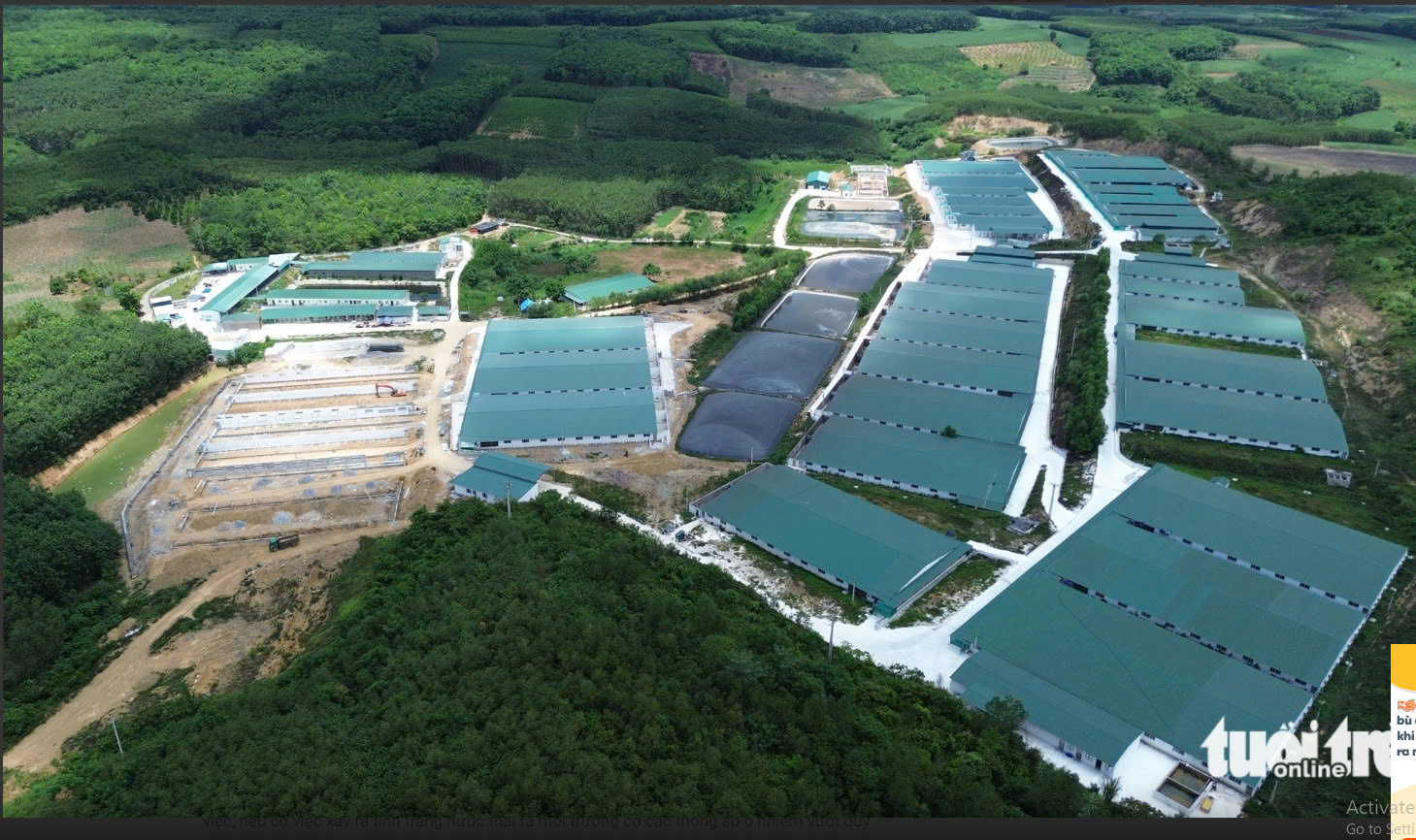 Dự án trang trại chăn nuôi Tâm Việt