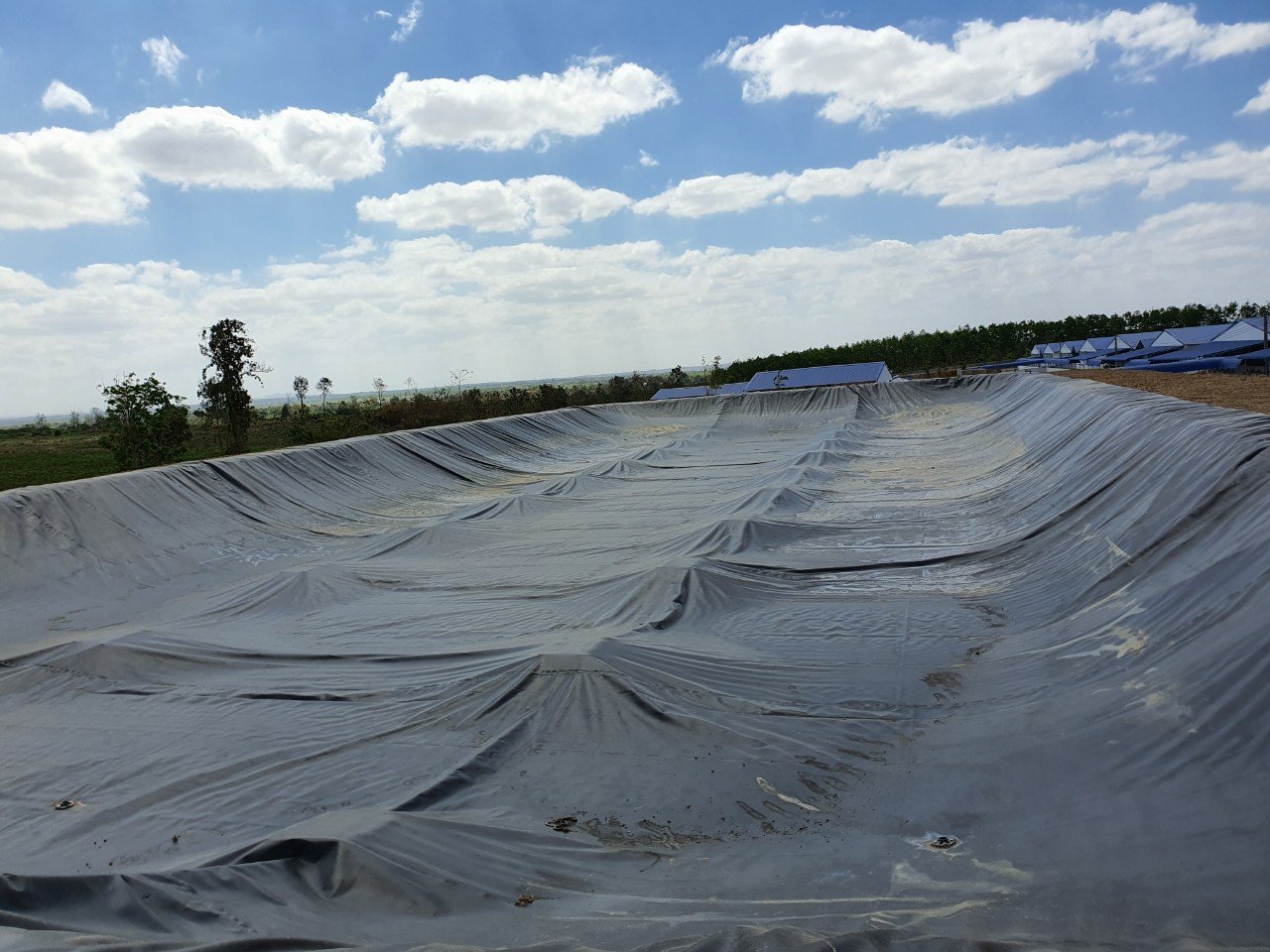 Hầm Biogas