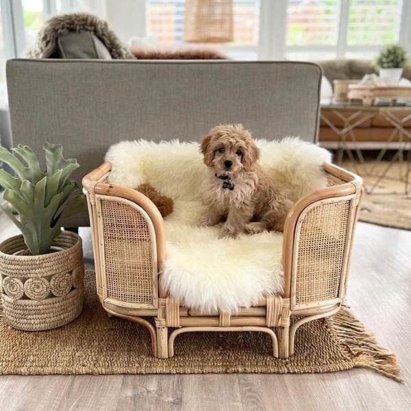 Giường mây cho chó PS-69