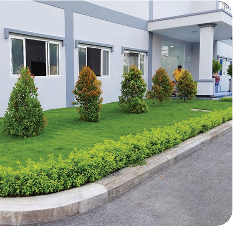Cải tạo cảnh quan nhà xưởng
