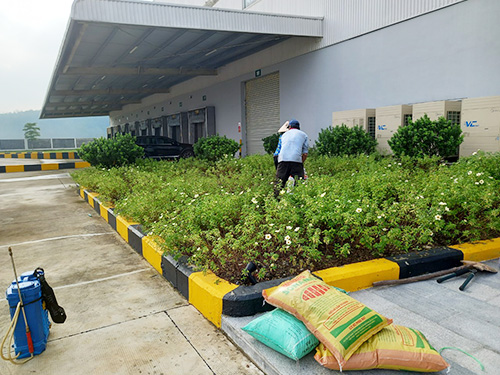 Dịch vụ chăm sóc cây xanh