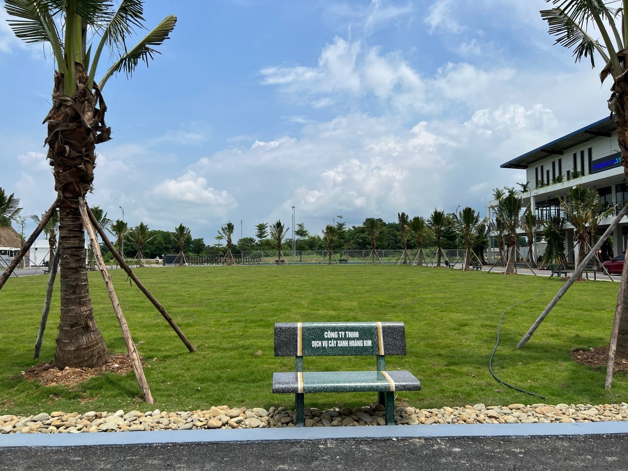 Thi công trồng cây xanh nhà máy TNG Phú Bình