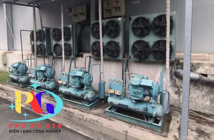 Sửa chữa, bảo trì, lắp đặt kho lạnh công nghiệp