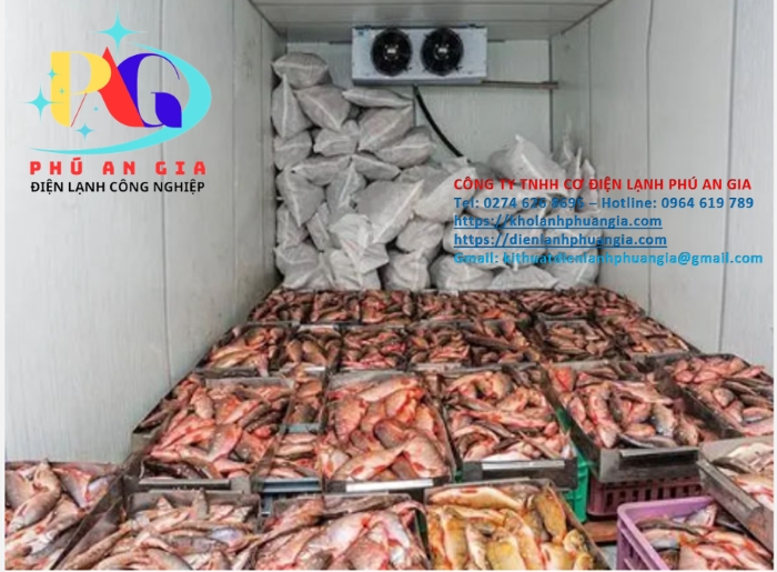 Thi công kho đông lạnh cá