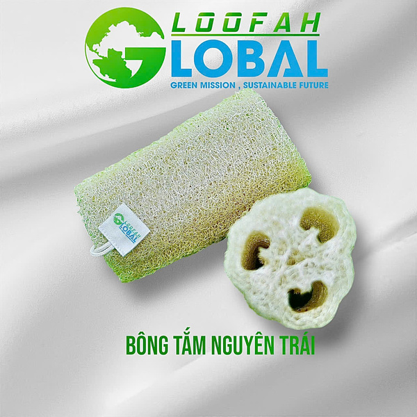 Bông tắm xơ mướp nguyên trái - Sản Phẩm Từ Xơ Mướp Loofah Global - Công Ty Cổ Phần Tập Đoàn Loofah Global