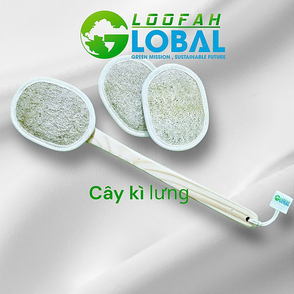 Cây kì lưng xơ mướp - Sản Phẩm Từ Xơ Mướp Loofah Global - Công Ty Cổ Phần Tập Đoàn Loofah Global
