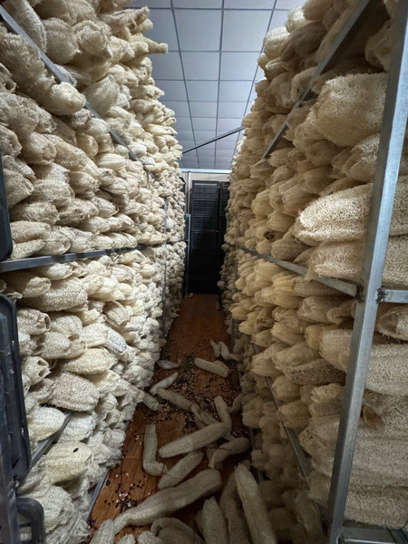 Quy trình sản xuất xơ mướp - Sản Phẩm Từ Xơ Mướp Loofah Global - Công Ty Cổ Phần Tập Đoàn Loofah Global