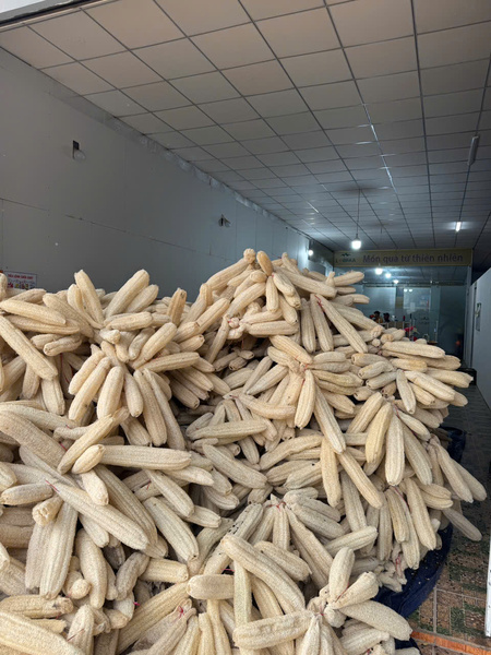 Quy trình sản xuất xơ mướp - Sản Phẩm Từ Xơ Mướp Loofah Global - Công Ty Cổ Phần Tập Đoàn Loofah Global