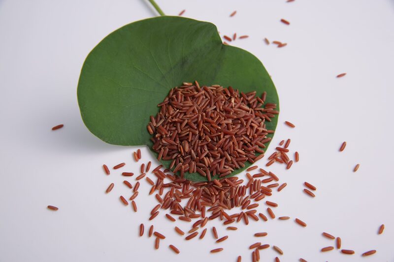 Gạo lức huyết rồng - Nông Sản Phú Minh Tâm - Công Ty TNHH Thương Mại Dịch Vụ Phú Minh Tâm