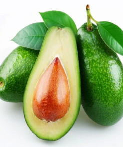 Bơ trung đông - Trái Cây Sấy Ba Sương - Long Mỹ - Công Ty Trách Nhiệm Hữu Hạn Ba Sương - Long Mỹ