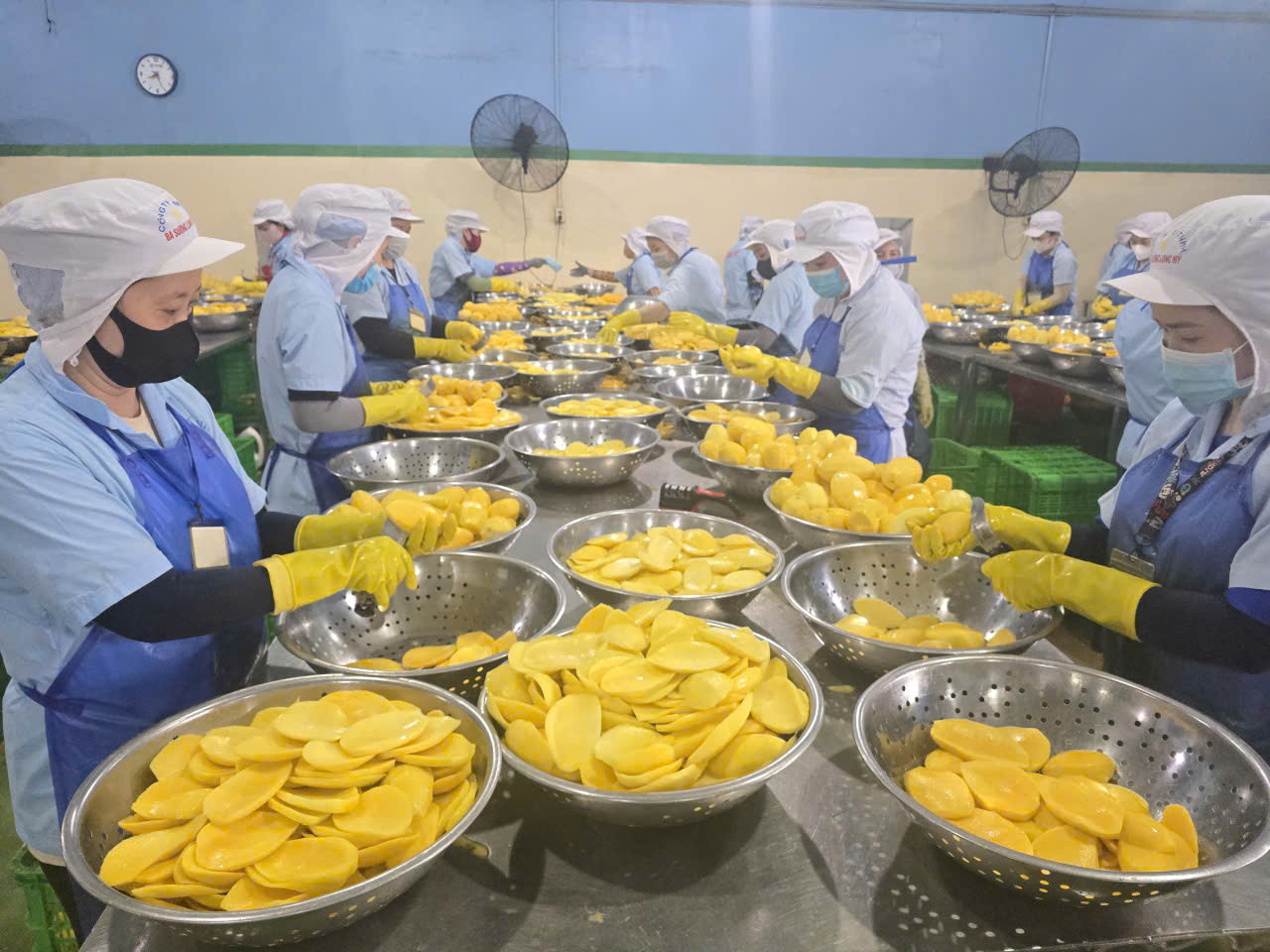 Hình ảnh nhà máy sản xuất Ba Sương - Trái Cây Sấy Ba Sương - Long Mỹ - Công Ty Trách Nhiệm Hữu Hạn Ba Sương - Long Mỹ