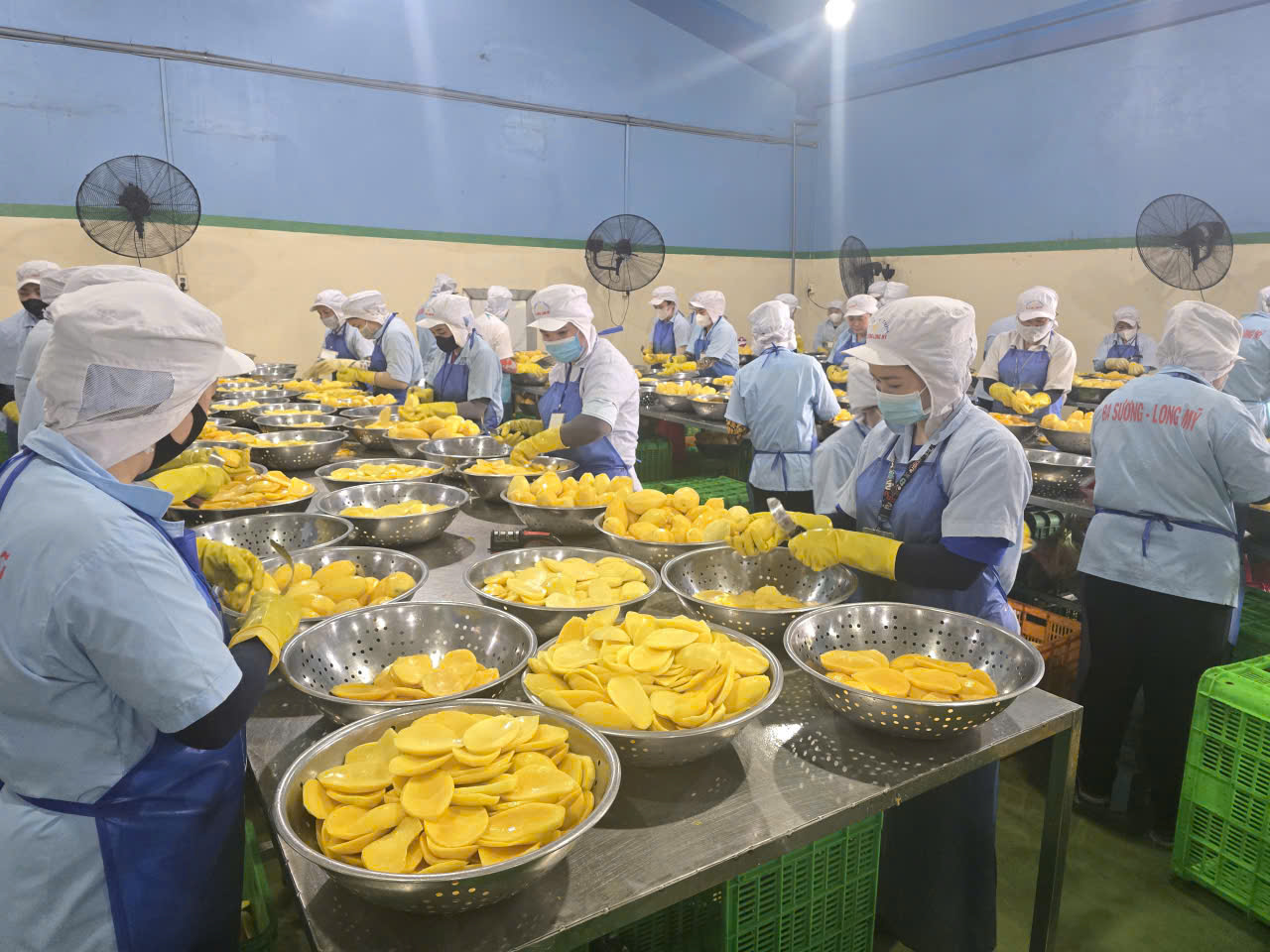 Hình ảnh nhà máy sản xuất Ba Sương - Trái Cây Sấy Ba Sương - Long Mỹ - Công Ty Trách Nhiệm Hữu Hạn Ba Sương - Long Mỹ