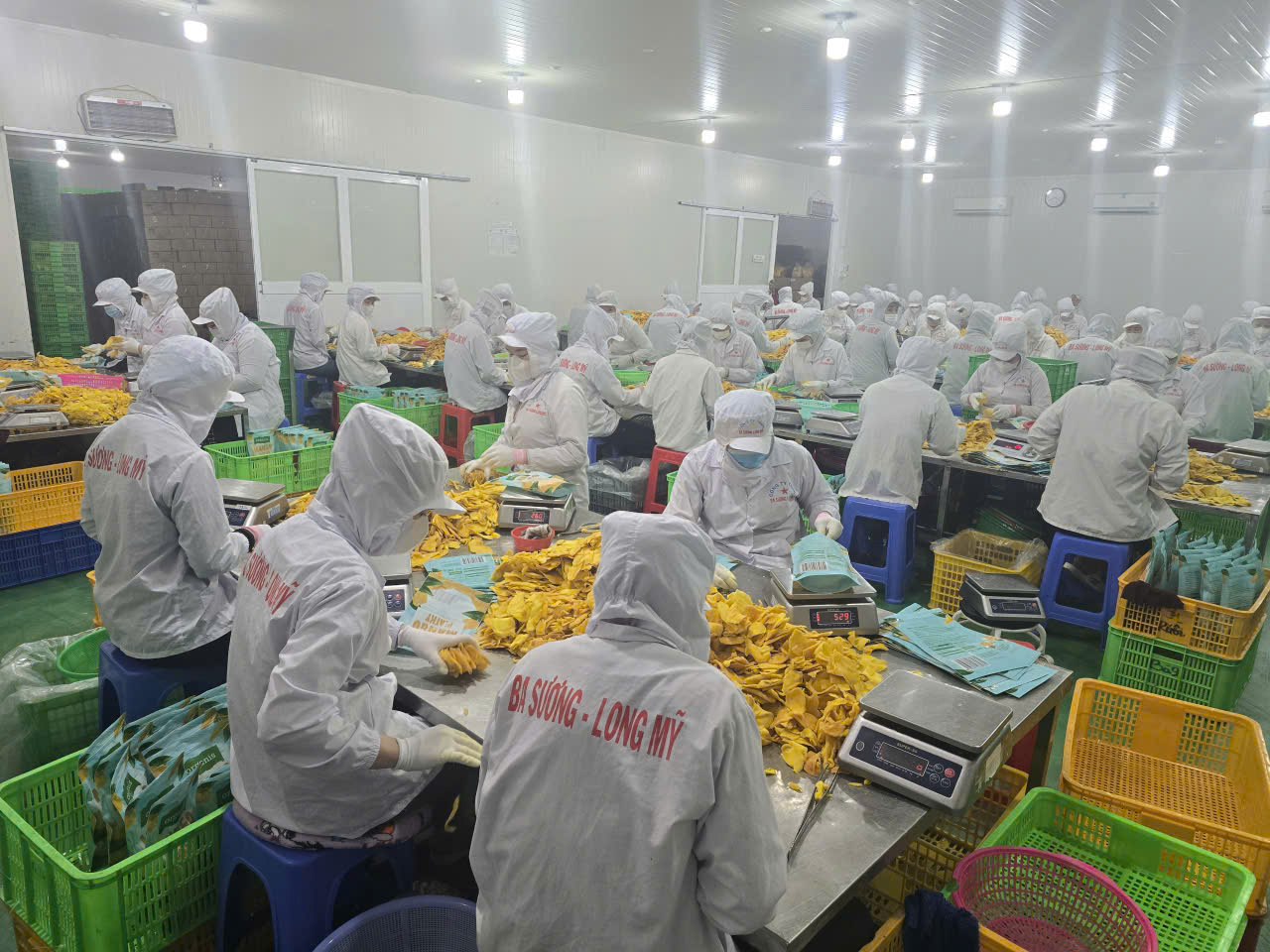 Hình ảnh nhà máy sản xuất Ba Sương - Trái Cây Sấy Ba Sương - Long Mỹ - Công Ty Trách Nhiệm Hữu Hạn Ba Sương - Long Mỹ