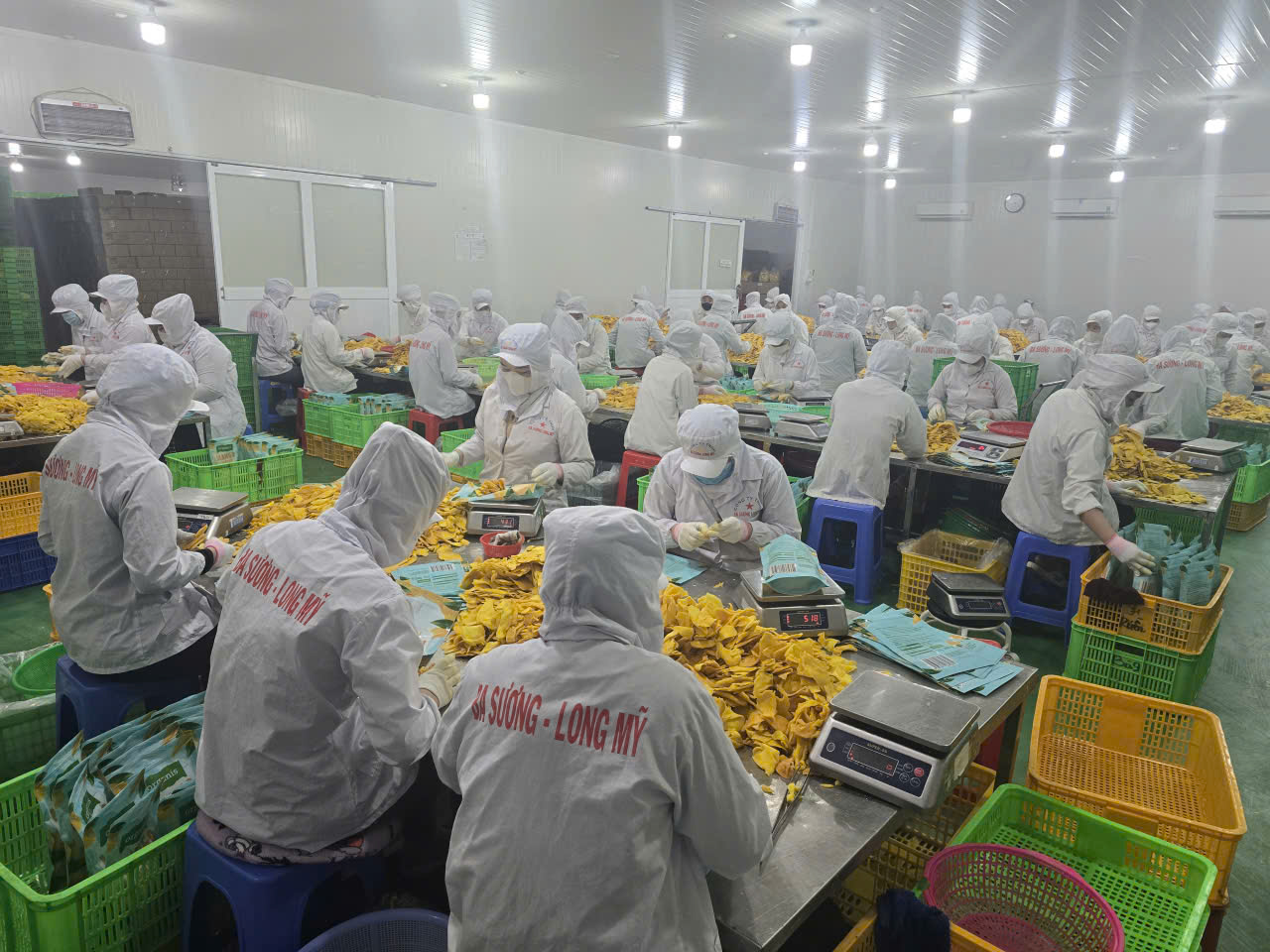 Hình ảnh nhà máy sản xuất Ba Sương - Trái Cây Sấy Ba Sương - Long Mỹ - Công Ty Trách Nhiệm Hữu Hạn Ba Sương - Long Mỹ