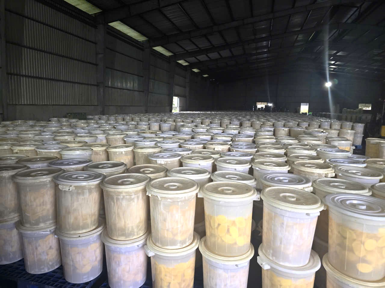 Hình ảnh nhà máy sản xuất Ba Sương - Trái Cây Sấy Ba Sương - Long Mỹ - Công Ty Trách Nhiệm Hữu Hạn Ba Sương - Long Mỹ