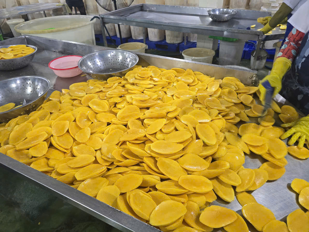 Hình ảnh nhà máy sản xuất Ba Sương - Trái Cây Sấy Ba Sương - Long Mỹ - Công Ty Trách Nhiệm Hữu Hạn Ba Sương - Long Mỹ