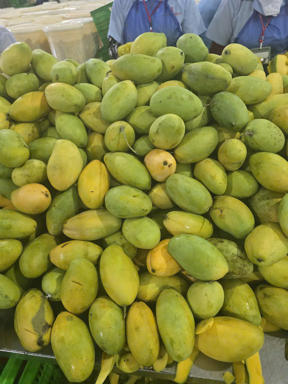 Hình ảnh nhà máy sản xuất Ba Sương - Trái Cây Sấy Ba Sương - Long Mỹ - Công Ty Trách Nhiệm Hữu Hạn Ba Sương - Long Mỹ