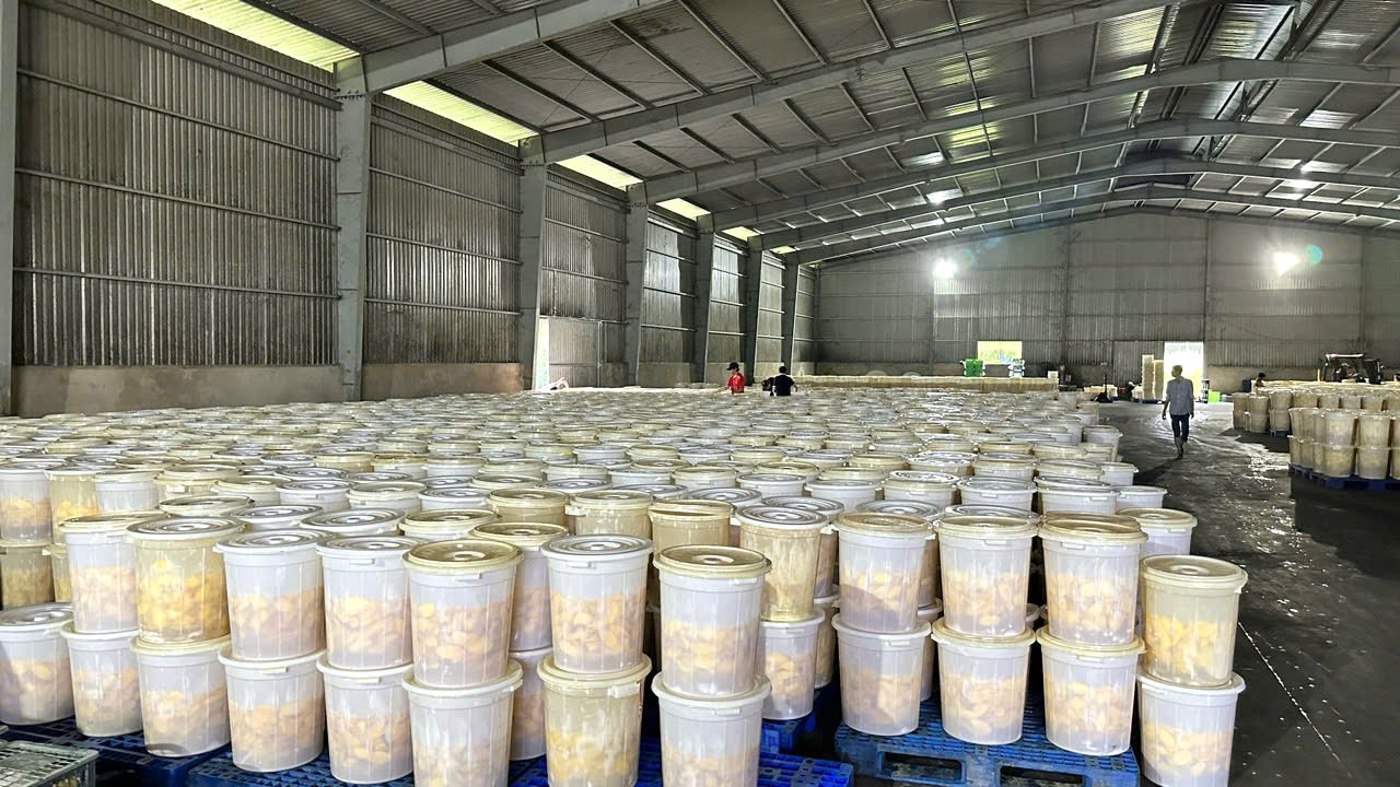 Hình ảnh nhà máy sản xuất Ba Sương - Trái Cây Sấy Ba Sương - Long Mỹ - Công Ty Trách Nhiệm Hữu Hạn Ba Sương - Long Mỹ