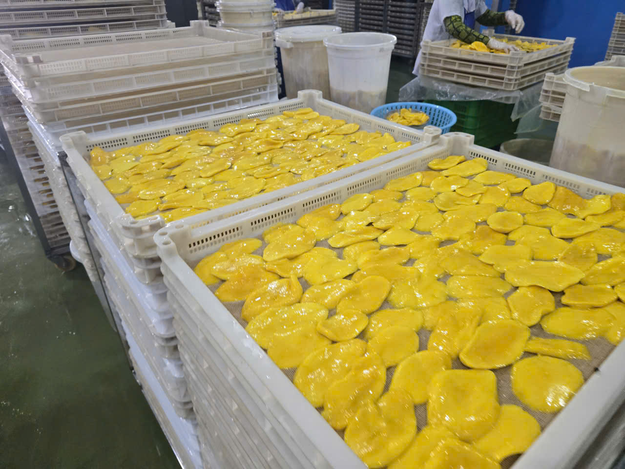 Hình ảnh nhà máy sản xuất Ba Sương - Trái Cây Sấy Ba Sương - Long Mỹ - Công Ty Trách Nhiệm Hữu Hạn Ba Sương - Long Mỹ