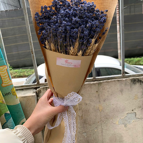 Bó hoa Lavender khô (oải hương)