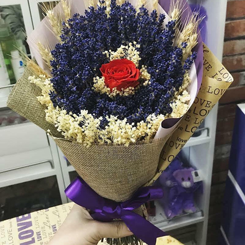 Bó hoa Lavender khô (oải hương)