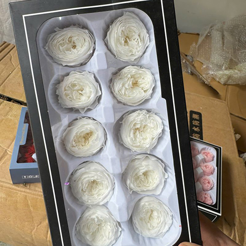 Hoa hồng khô vĩnh cửu