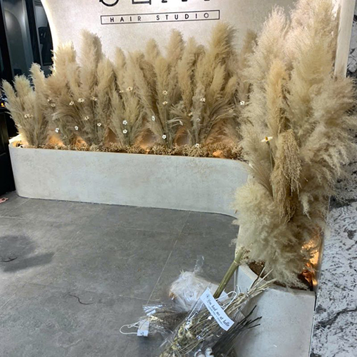 Thi công cắm lau trang trí salon tóc