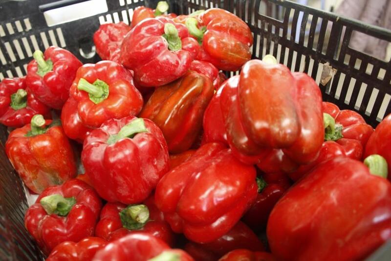 Ớt chuông đỏ - Nông Sản Rau Củ Đà Lạt - Công Ty TNHH Da Sa Thảo Mộc