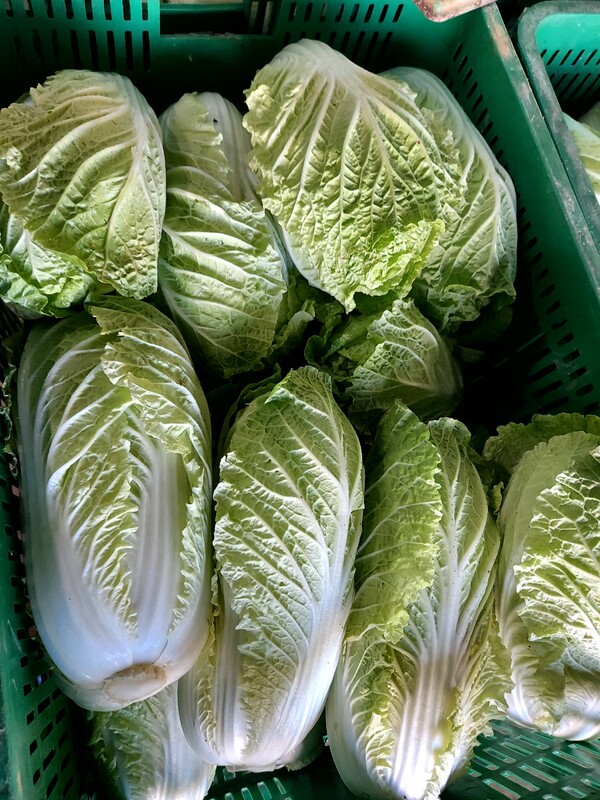 Cải thảo - Nông Sản Rau Củ Đà Lạt - Công Ty TNHH Da Sa Thảo Mộc